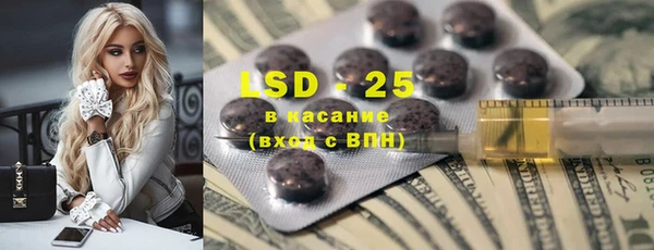 шишки Горняк