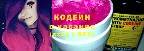прущие грибы Вязьма