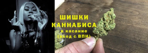 прущие грибы Вязьма