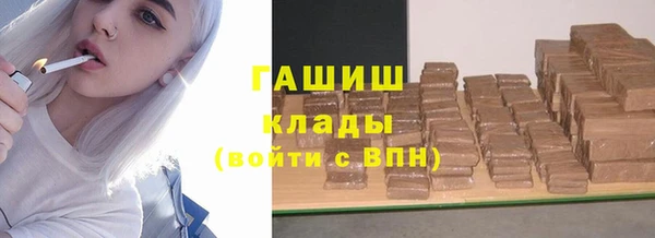шишки Горняк