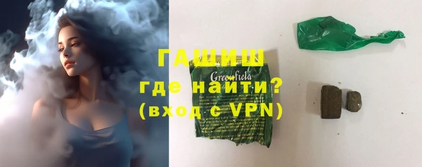 прущие грибы Вязьма