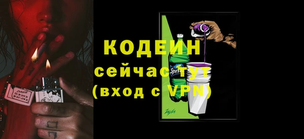 прущие грибы Вязьма