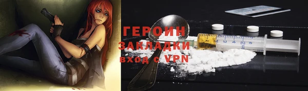прущие грибы Вязьма