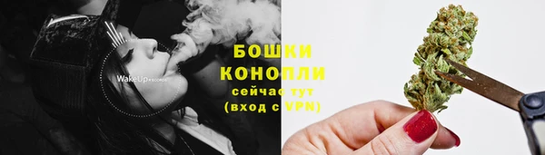 крисы Вяземский