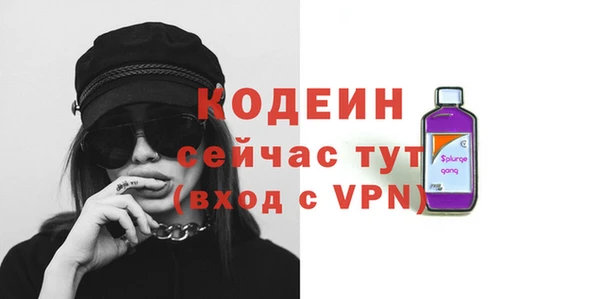 прущие грибы Вязьма