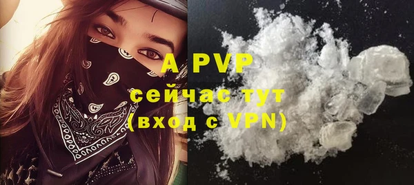 крисы Вяземский