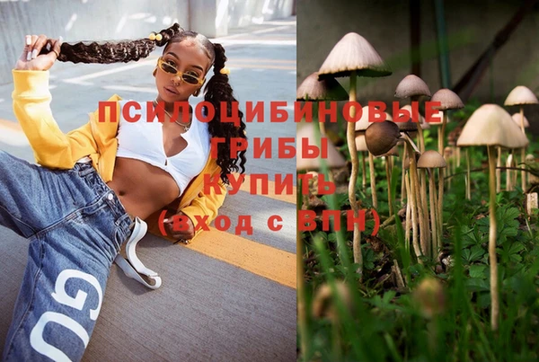крисы Вяземский
