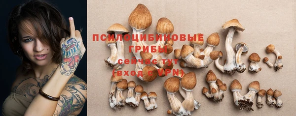 прущие грибы Вязьма