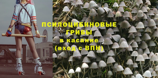 марки lsd Горно-Алтайск