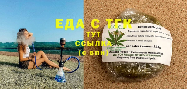 шишки Горняк