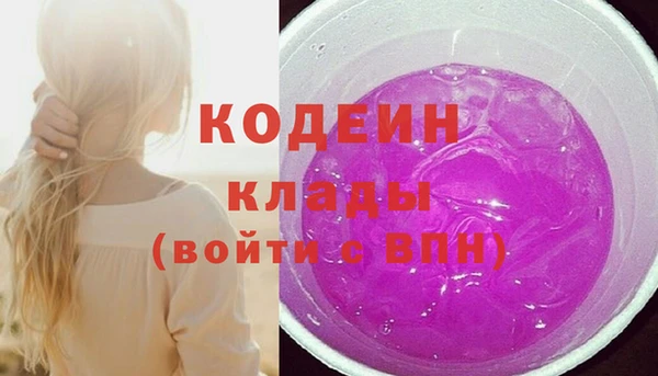 прущие грибы Вязьма