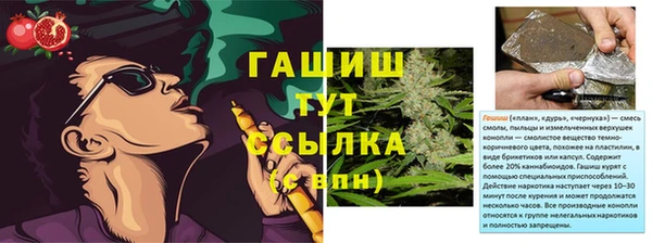 прущие грибы Вязьма